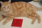 Mikey Endorses Just His Words!